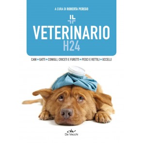 Il veterinario h24
