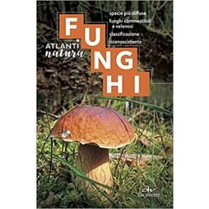 Funghi. Specie più diffuse, funghi commestibili e velenosi, classificazione, riconoscimento