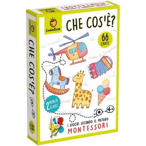 Che cos'è? Carte Montessori