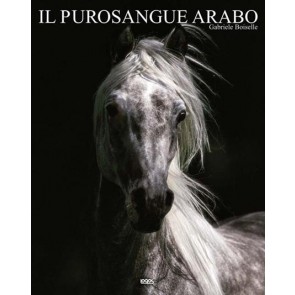 Il cavallo arabo. Ediz. multilingue 