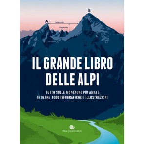 Il grande libro delle Alpi. Tutto sulle montagne più amate in oltre 100 infografiche e illustrazioni. Ediz. a colori 